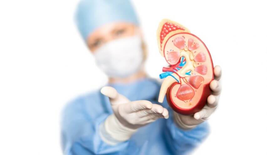Urologia